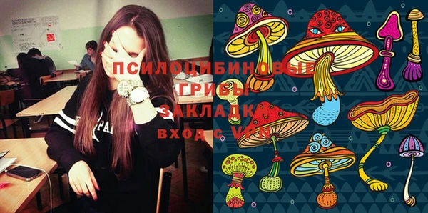 Альфа ПВП Алзамай