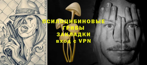 spice Алексин