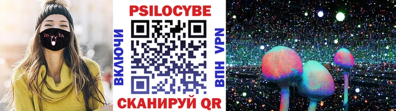 сайты даркнета формула  Кропоткин  Псилоцибиновые грибы Psilocybe  закладка 